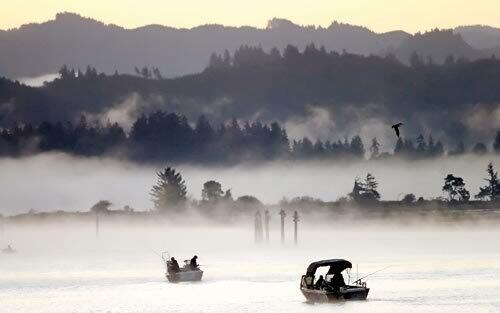 Patches of fog blanket the water as fishermen troll for chinook near the Marshfield Channel in Coos Bay, Ore. Migrating fish in the bay are waiting for fall rains before moving upstream to their spawning grounds.