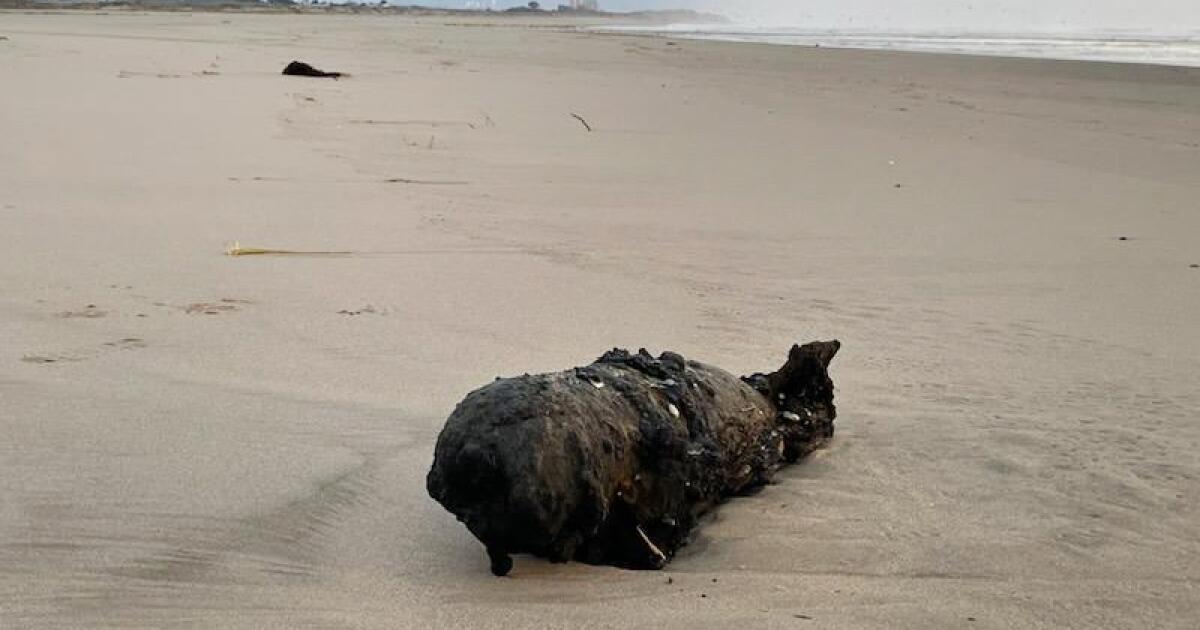 A World War II practice bomb washes up on the shore of a Santa Cruz County beach
