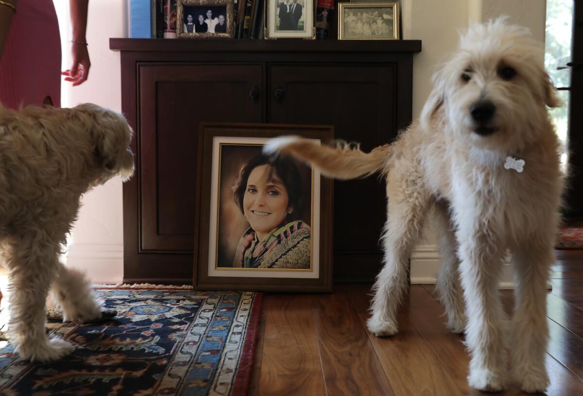 The Caire's dogs, Petunia, left, and Roxie, walk near a portrait of Terese Caire at the family's home.