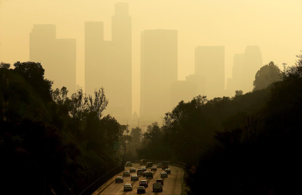 As two cities that have struggled with poor air quality, Los Angeles and Beijing have a "visceral connection," Mayor Eric Garcetti said.