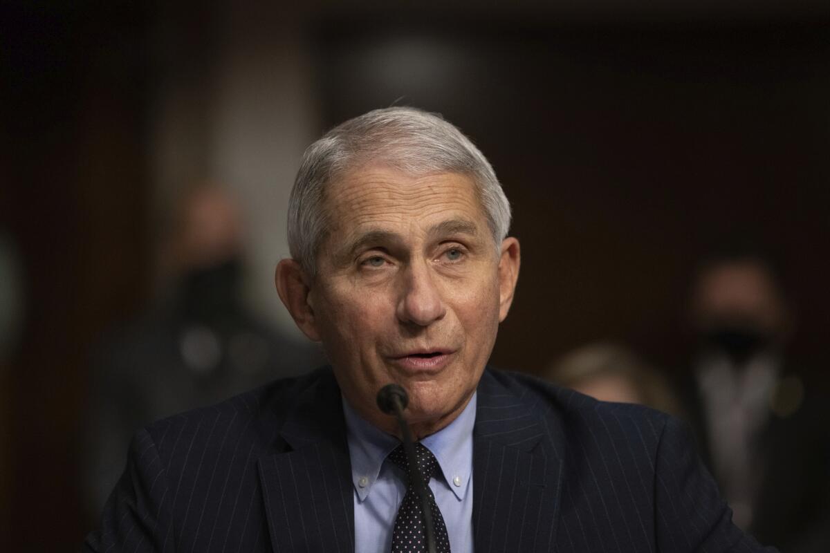 Dr. Anthony Fauci listens during a Senate Senate Health, Education, Labor, and Pensions Committee Hearing.