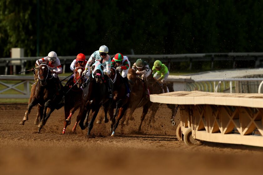 ARCADIA, CALIFORNIA - NOVEMBER 02: The field rounds the corner during the Sprint at Santa Anita Park on November 02, 2019 in Arcadia, California. (Photo by Joe Scarnici/Getty Images)