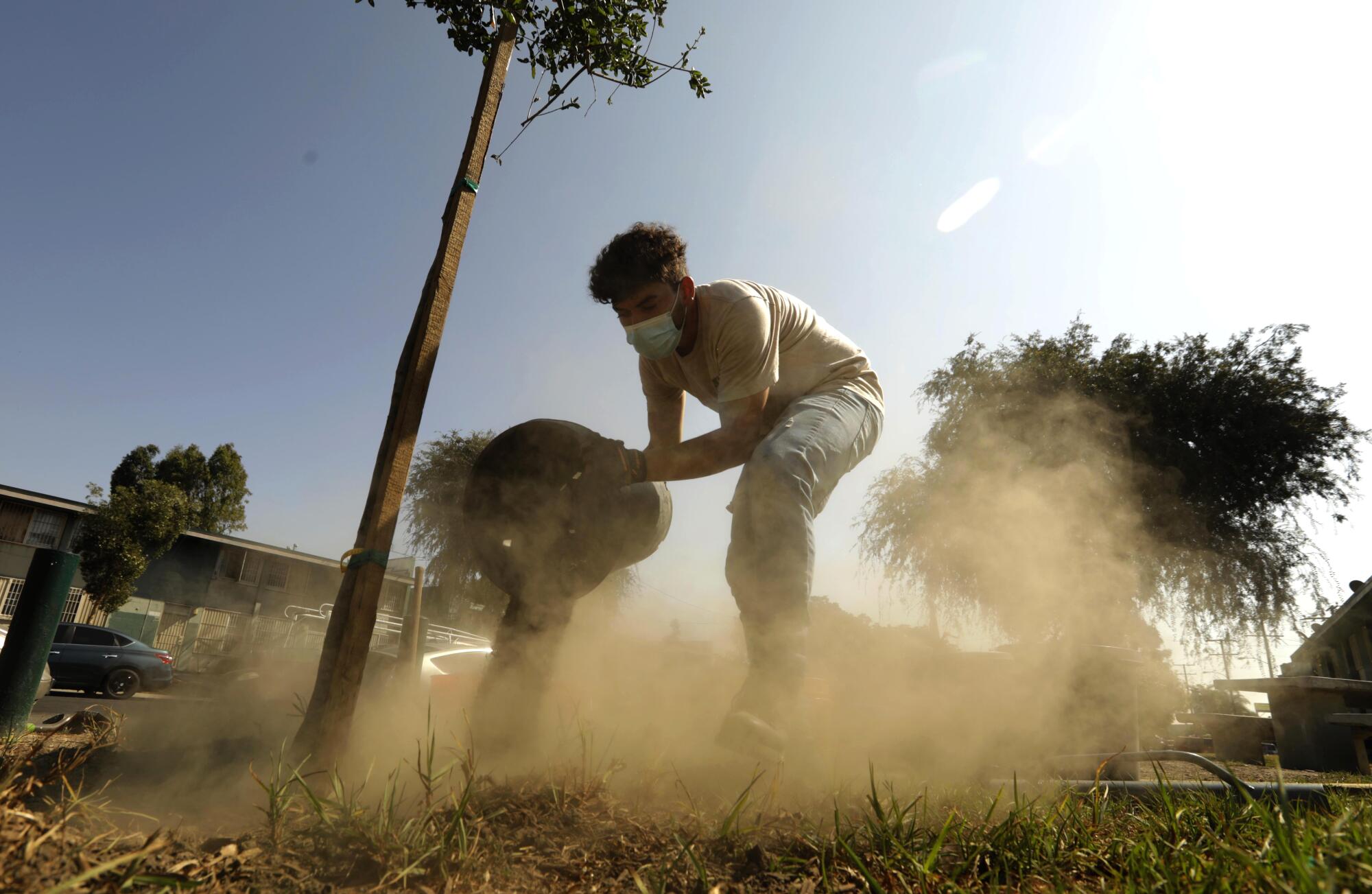 Eduardo Armenta, with North East Trees, plants a tree in the Imperial Gardens public housing in Watts.