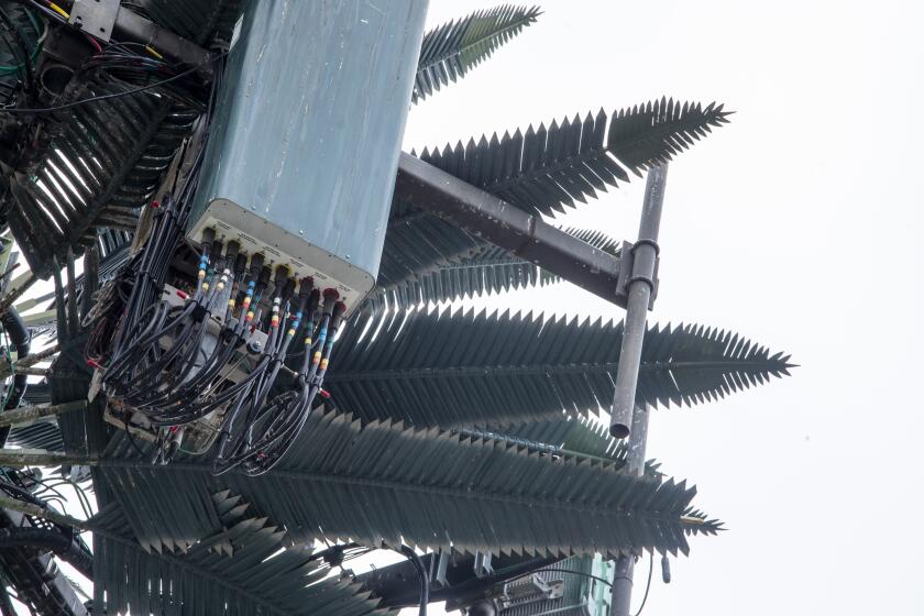 LOS ANGELES, CA - MAY 10: A mangy fake palm is actually a cell tower disguised as a palm at 1575 E. Imperial Hwy. on Monday, May 10, 2021 in Los Angeles, CA. (Brian van der Brug / Los Angeles Times)