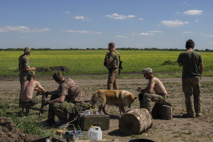 Des soldats ukrainiens se détendent