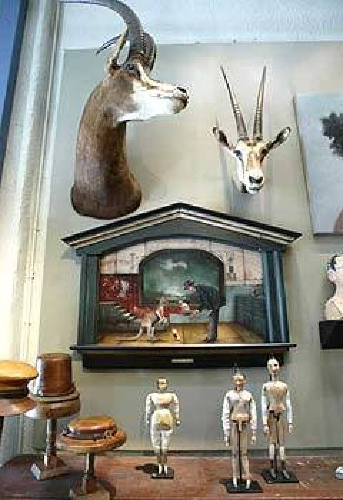 A meticulously designed grouping contains elements of taxidermy, woodworking and painting at Obsolete, a Venice art space that is part gallery, part museum and part store.