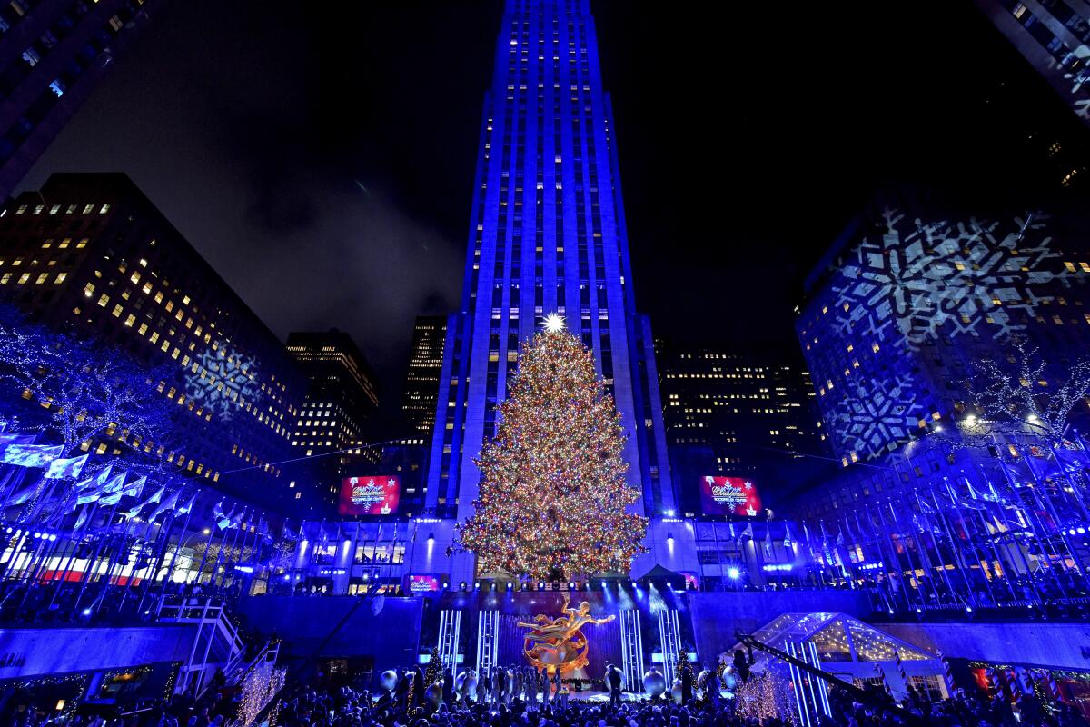 The Rockefeller Center Christmas tree in New York City stands just 77 feet tall. The blue Norway spruce is topped with a Swarovski star.