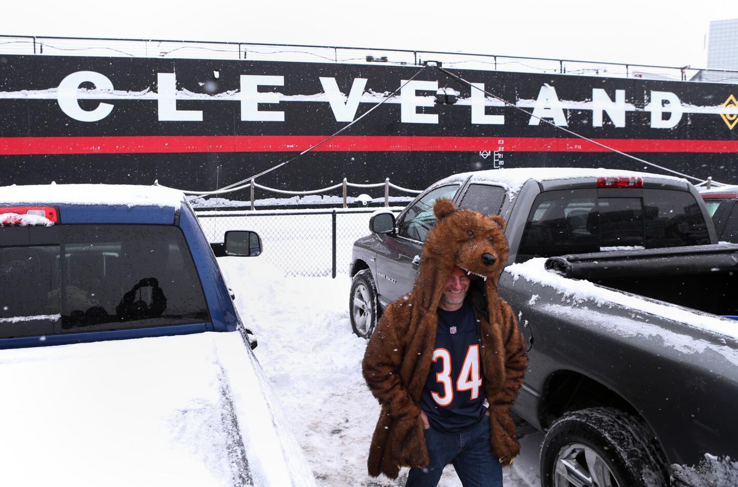A Bear in Cleveland