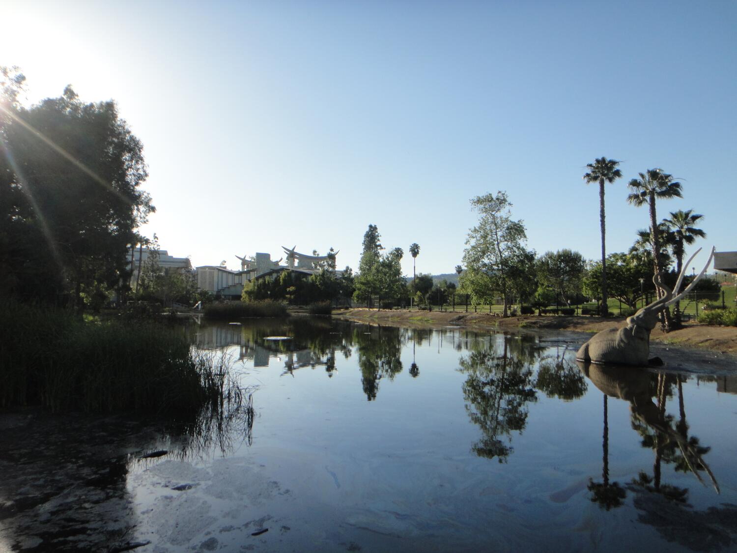8 teens on La Brea Tar Pits trip hospitalized after ingesting 'cannabis edibles,' LAFD says