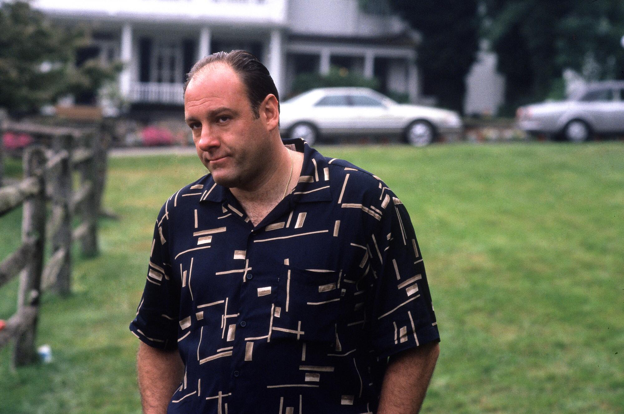 A man in a patterned collared shirt stands on a large lawn in front of a house with parked cars on the street.