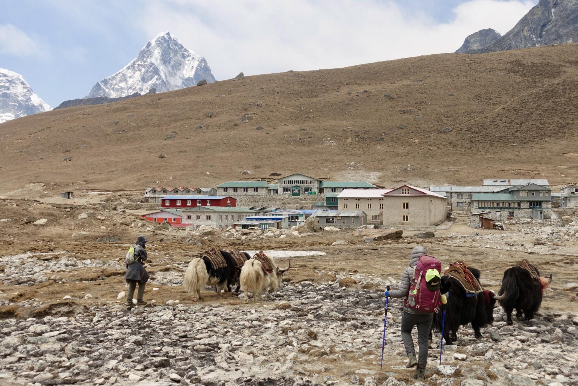 Two people with yaks near a small mountain village
