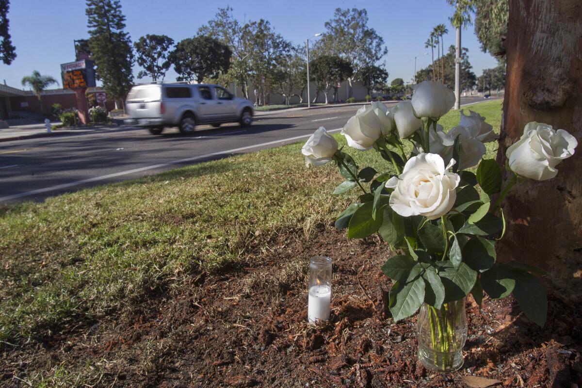 A makeshift memorial is placed at a tree along Placentia Avenue, across the street from Estancia High School in Costa Mesa, on Wednesday. A high-speed single-car crash killed driver Jacob Pacheco, 16, of Costa Mesa and injured his teenage passenger just after midnight on Wednesday, according to police.