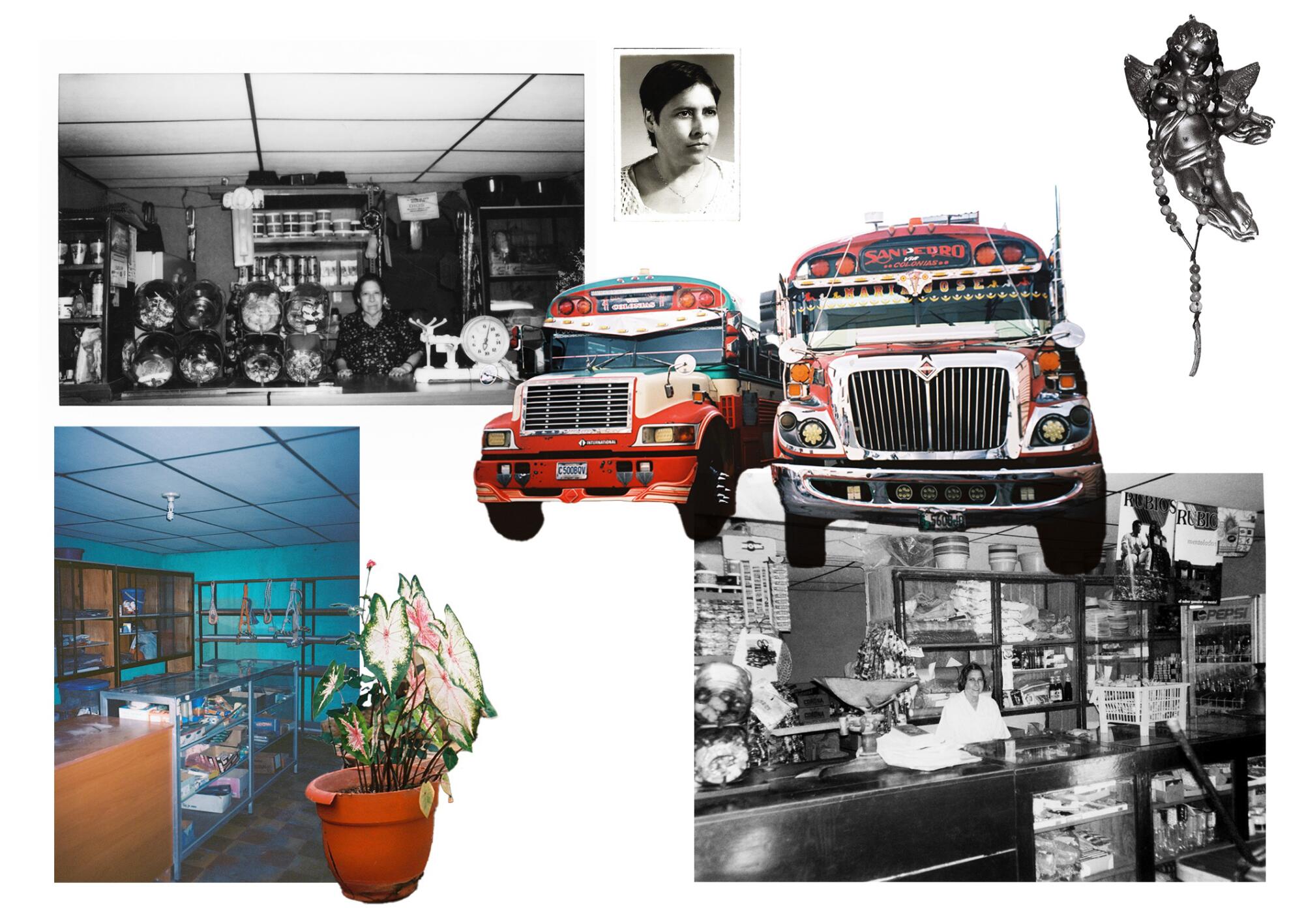A photo collage features an old bus, headshots, a potted plant, a store interior and more