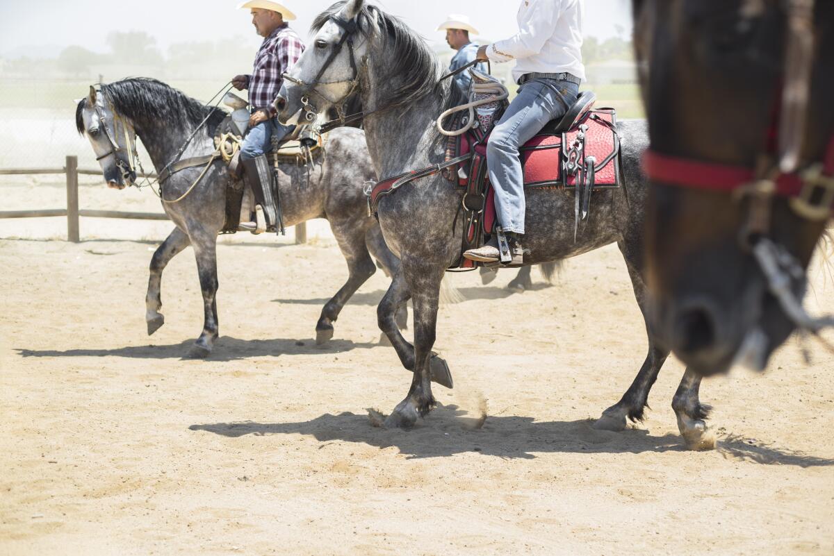 La Lucha entre el Gran Capital y los Rancheros En El Inland Empire ...