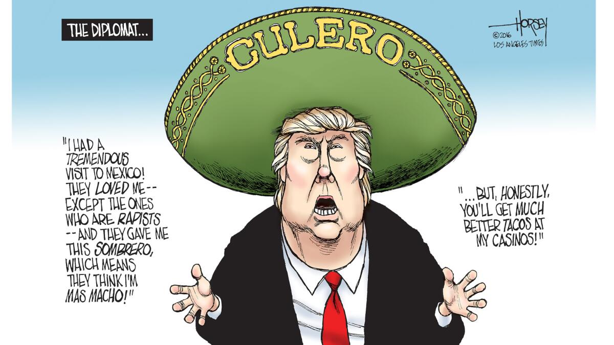 Donald Trump makes a quick trip to Mexico, despite the antipathy of Mexicans.