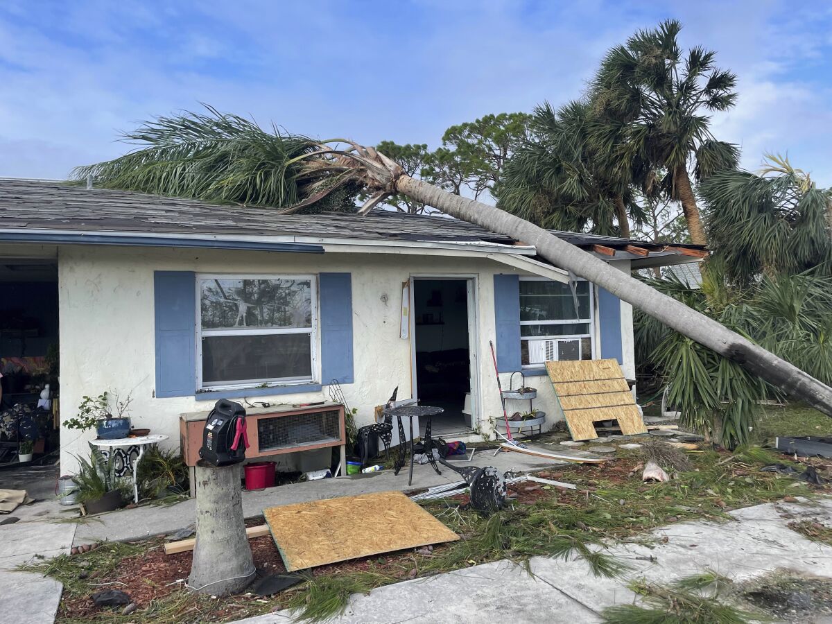 In this photo provided by Cheynne Prevatt, Prevatt's home, seen Thursday, Sept. 29, 2022, was damaged by Hurricane Ian and by a fallen palm tree, making it uninhabitable, in Englewood, Fla. (Cheynne Prevatt via AP)