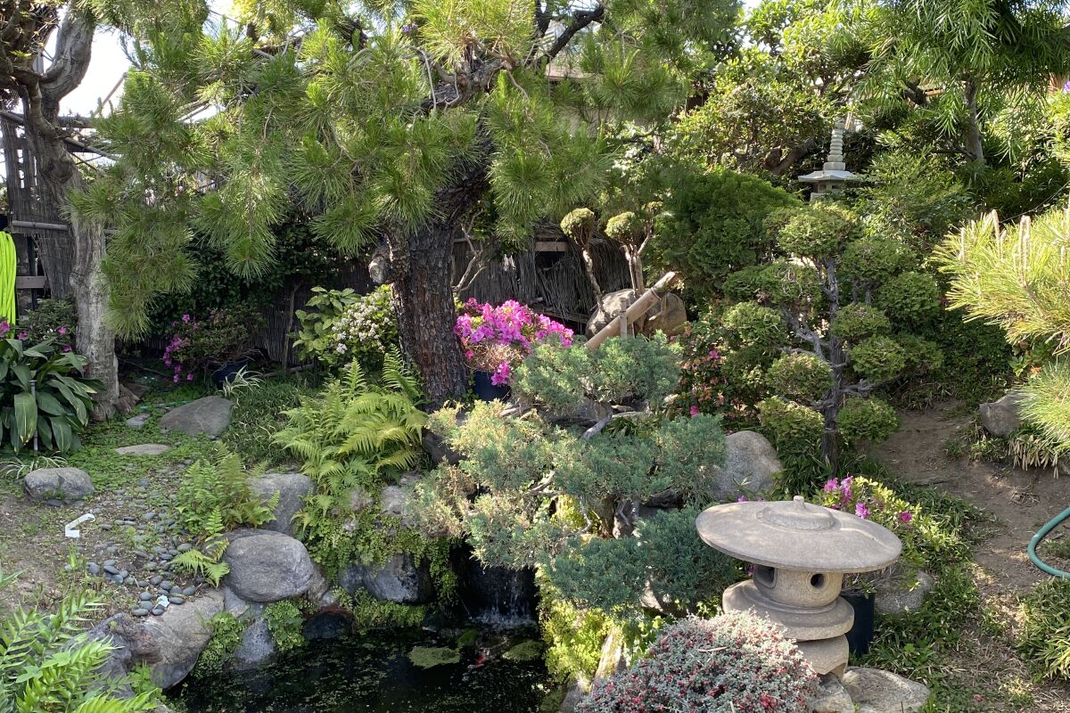 Un pequeño estanque en un jardín.