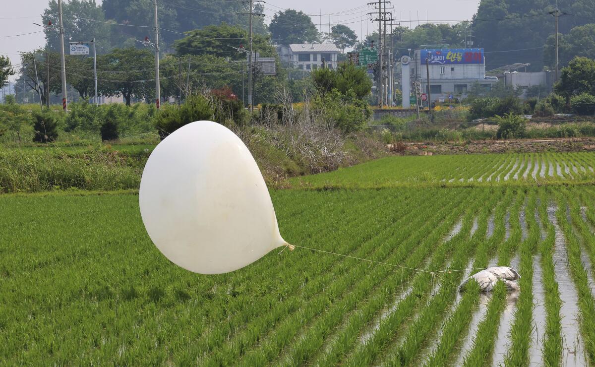 A balloon presumably sent by North Korea is seen in a paddy field in Incheon, South Korea, in June.