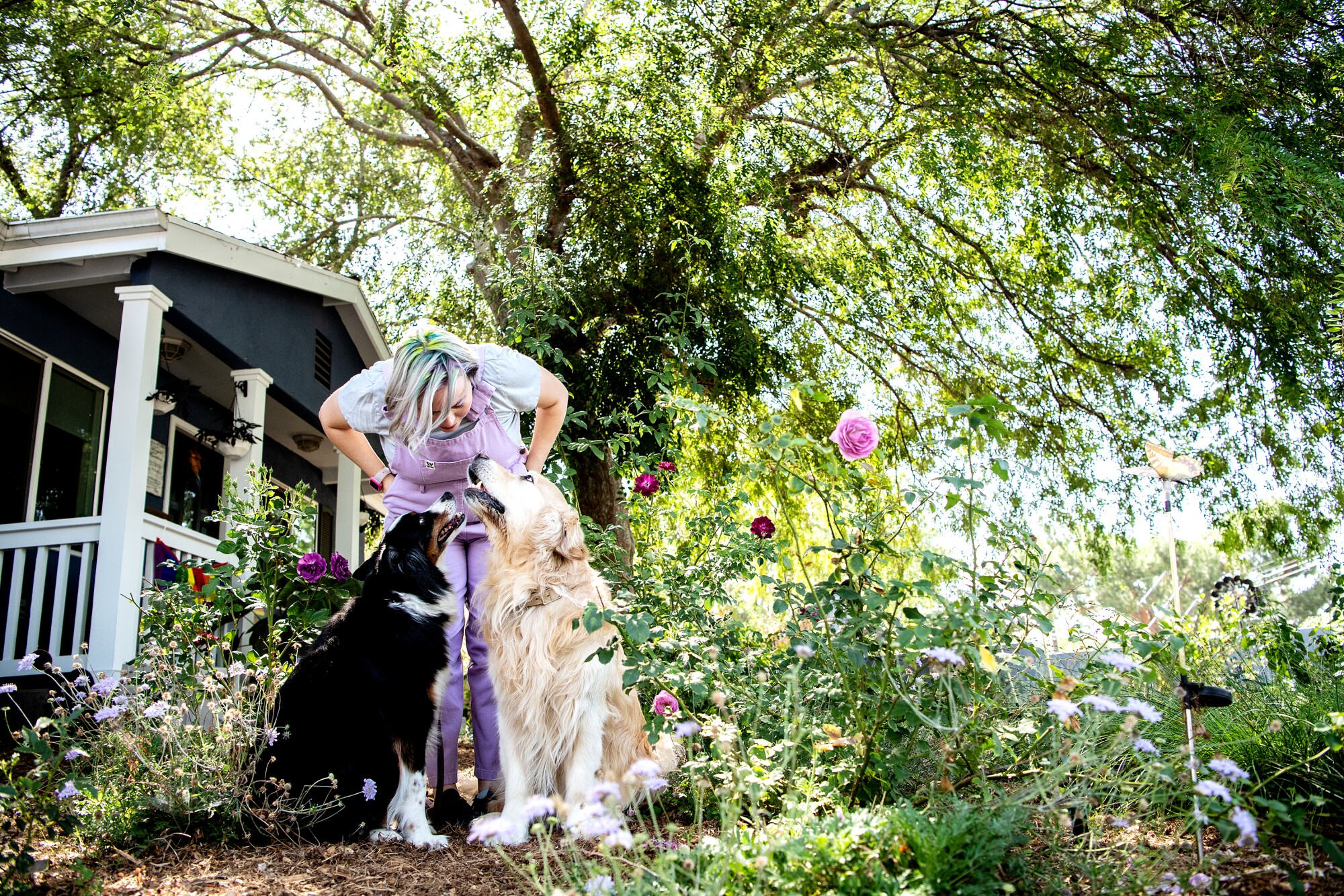 A woman with her dogs in her garden. 