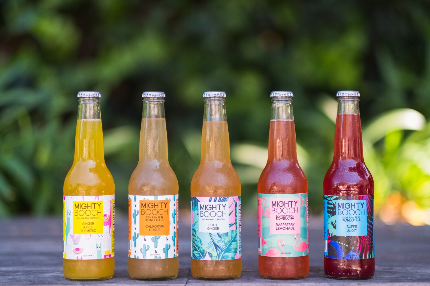 Mightybooch Has 5 Flavors Of Refreshing Kombucha Pacific San Diego Mightybooch Has 5 Flavors Of Refreshing Kombucha Pacific San Diego