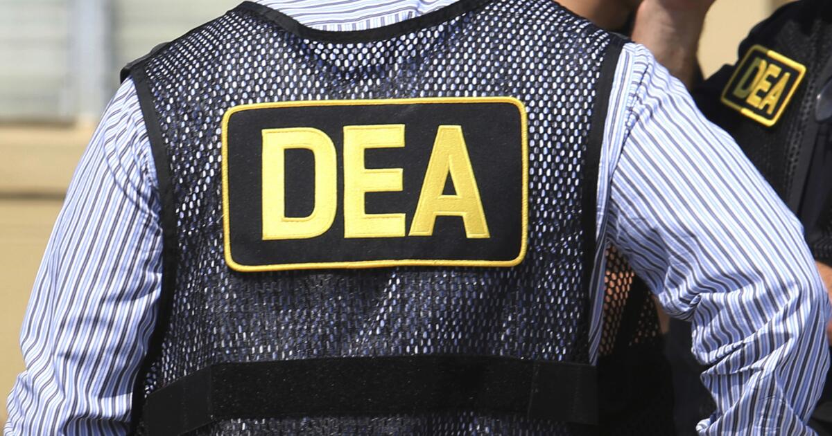 The DEA gave 0,000 to a money printer called ‘The Englishman.’ He stole it The DEA gave 0,000 to a money printer called ‘The Englishman.’ He stole it