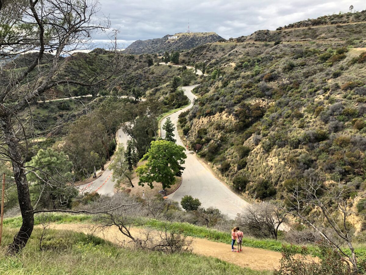 Griffith Park's trails were due to reopen Saturday morning after a closure of more than a month. Hikers must wear face coverings and keep their distance. Photo shot in late March.