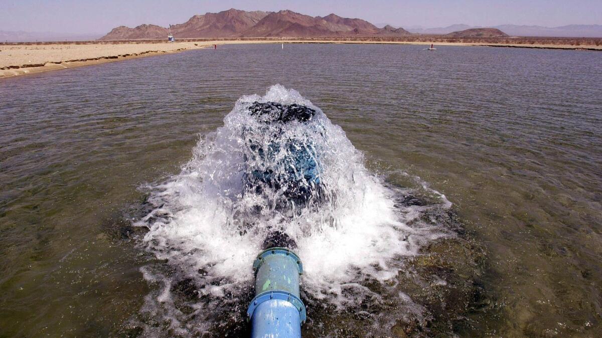 Well water bubbles into a pilot spreading basin pools for agricultural company Cadiz Inc. on Aug. 13, 2002.