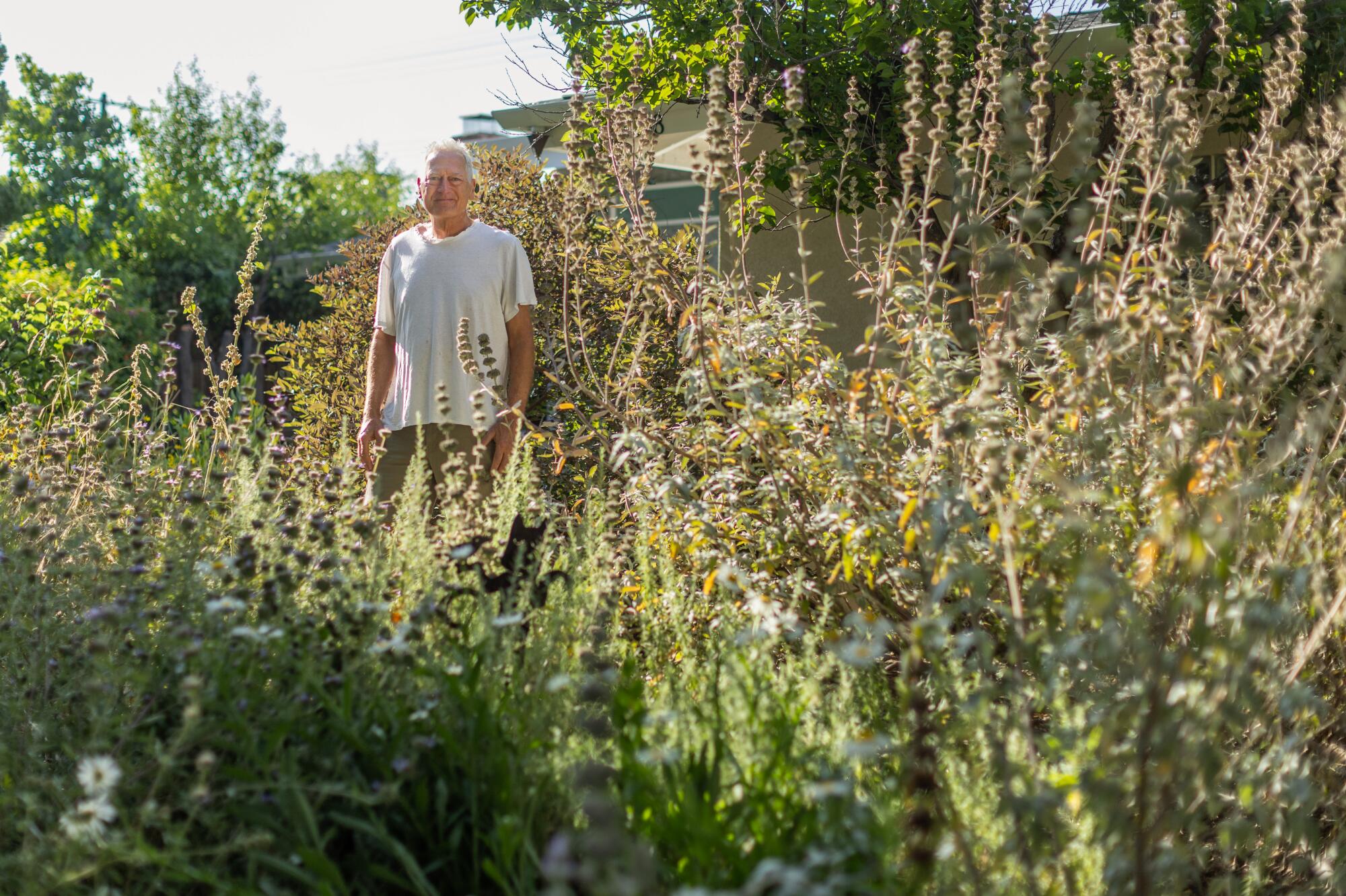 Eric Augusztiny stands in his native plant garden 