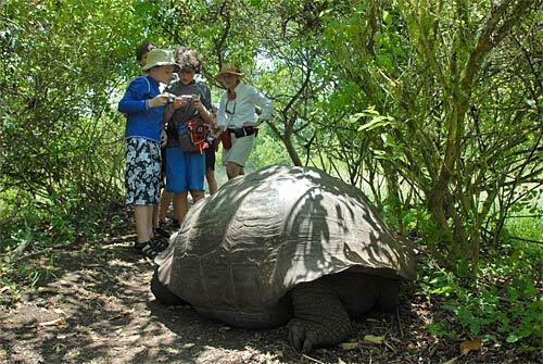 Galapagos