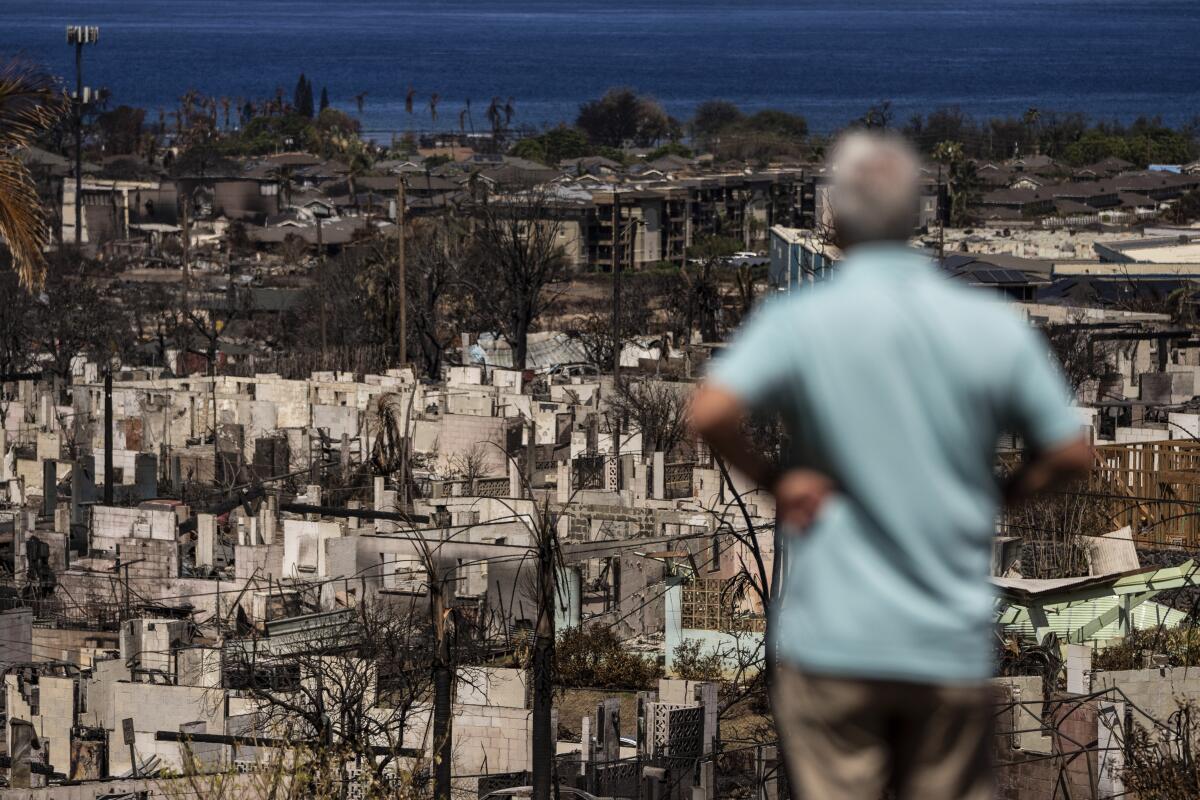 A man looks out over a burned town.