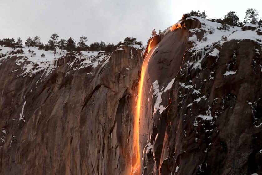 The Horsetail Falls firefalls effect caused by light from the setting sun, in Yosemite on Saturday, Feb. 23, 2019. The fire effect only happens during the middle of February if conditions are perfect with enough melting snow on top of El Capitan and clear skies to the west as the sun sets.