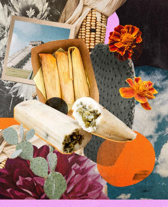 Collage of tamales, flowers, cacti 