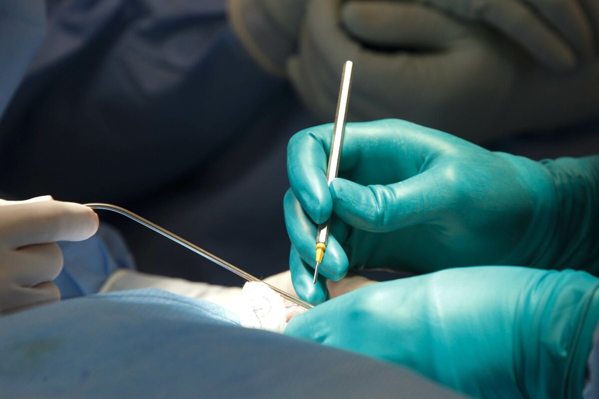 Avoidable medical errors include operating on the wrong body part or leaving behind foreign objects in a patient's surgical cavity. / photo by Hayne Palmour IV * U-T