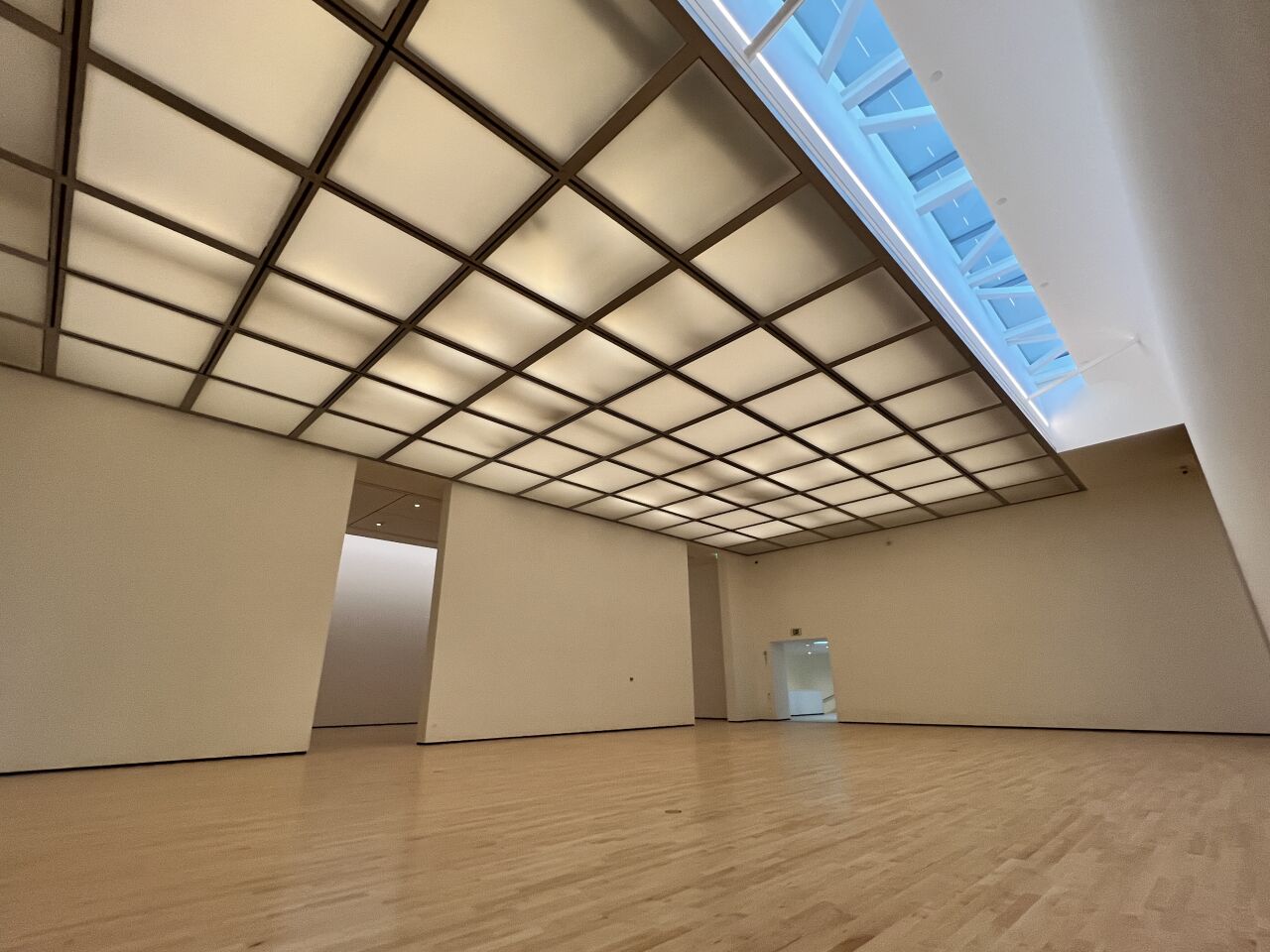 The expansive suite of Strauss gallery spaces will function as a special exhibits hall.