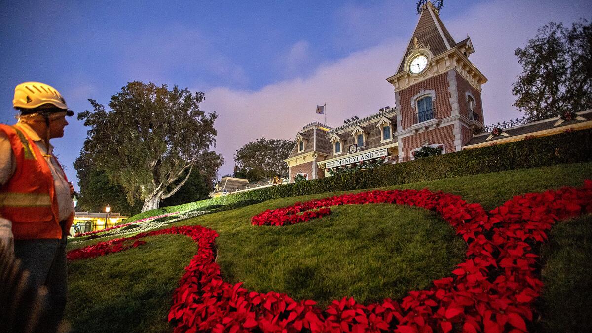 In the pre-dawn hours, a worker looks over freshly laid flowers while others put up holiday decorations at the Disneyland Railroad Station at Disneyland in Anaheim, Calif.