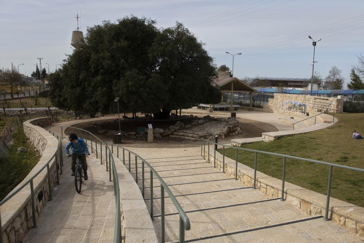 An Israeli Jewish settler youth rides a bicycle 