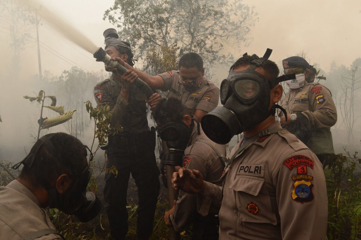 Indonesian police and firefighters extinguish a fire on burning peat land on Borneo island during President Joko Widodo's inspection of a firefighting operation to control agricultural and forest fires.