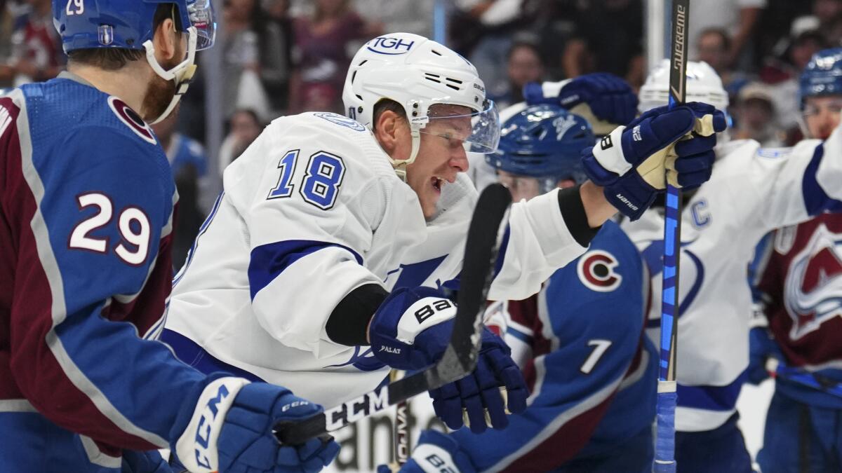 Stanley Cup Final: Lightning's Ondrej Palat does all the small