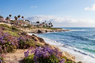 An ocean view in La Jolla, California during the spring.