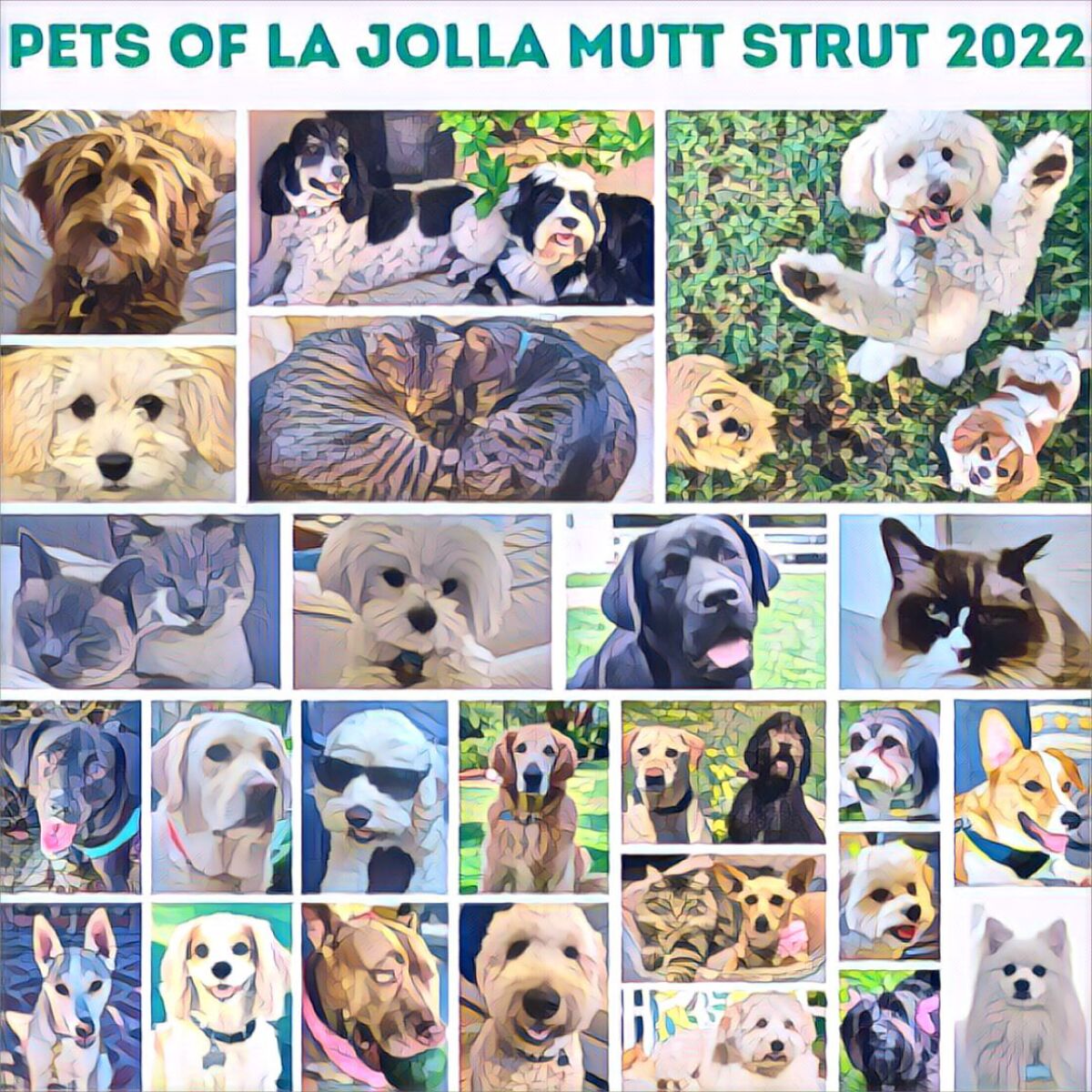 The inaugural "La Jolla Mutt Strut" plans to unleash furry friends on The Village on Saturday, May 7.
