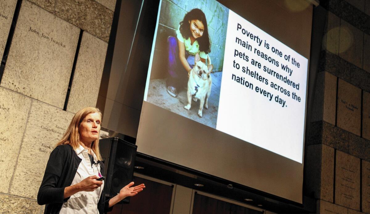 Lori Weise is executive director of Downtown Dog Rescue, an organization that helps the poor find and pay for solutions to their pet-care problems — including veterinary needs, food and municipal fees.
