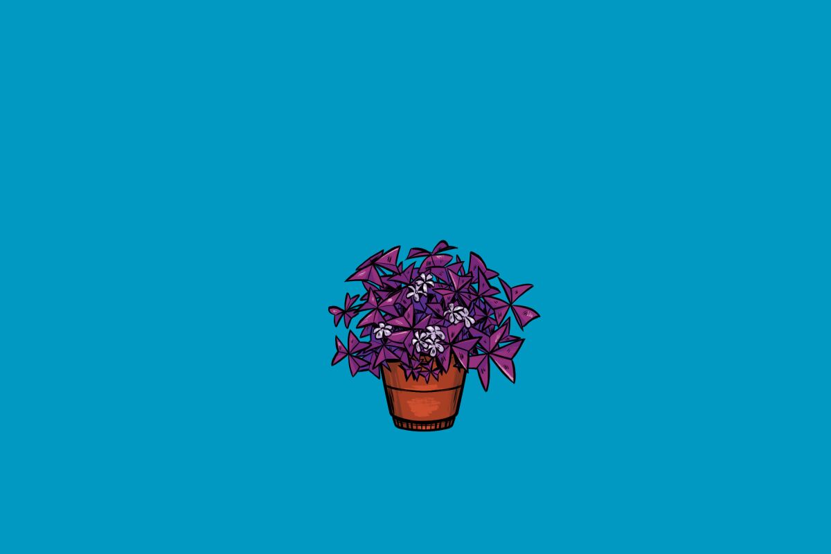 Purple shamrock.