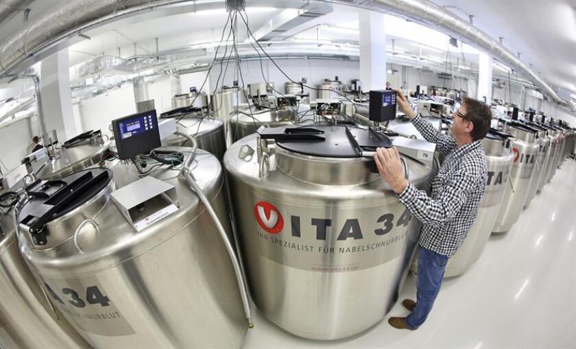 Uwe Kirmse, empleado del banco de sangre de cordón Vita 34 AG, verifica un contenedor de nitrógeno líquido en Leipzig, Alemania, el 27 de marzo de 2014. EFE/Archivo