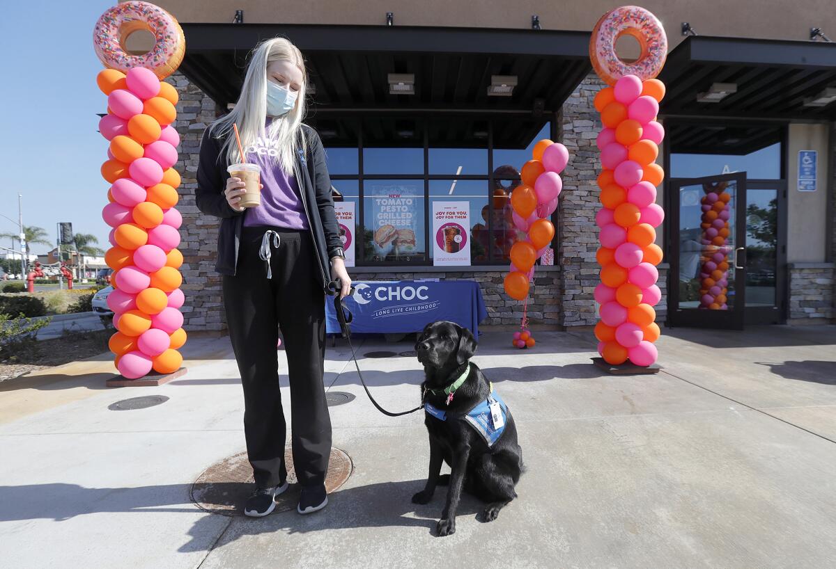 Janessa Vandenberge, a CHOC certified dog handler, stands with black Labrador Odessa.