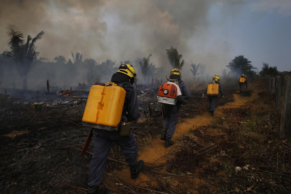 Fire brigade members walk into a burnt area while smoke rises above trees nearby.