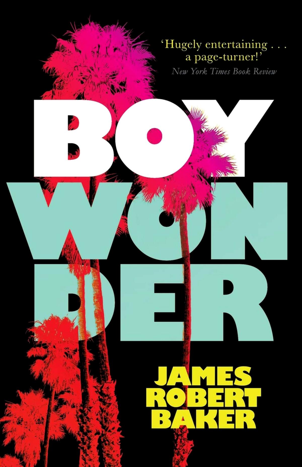"Boy Wonder" by James Robert Baker, 1988