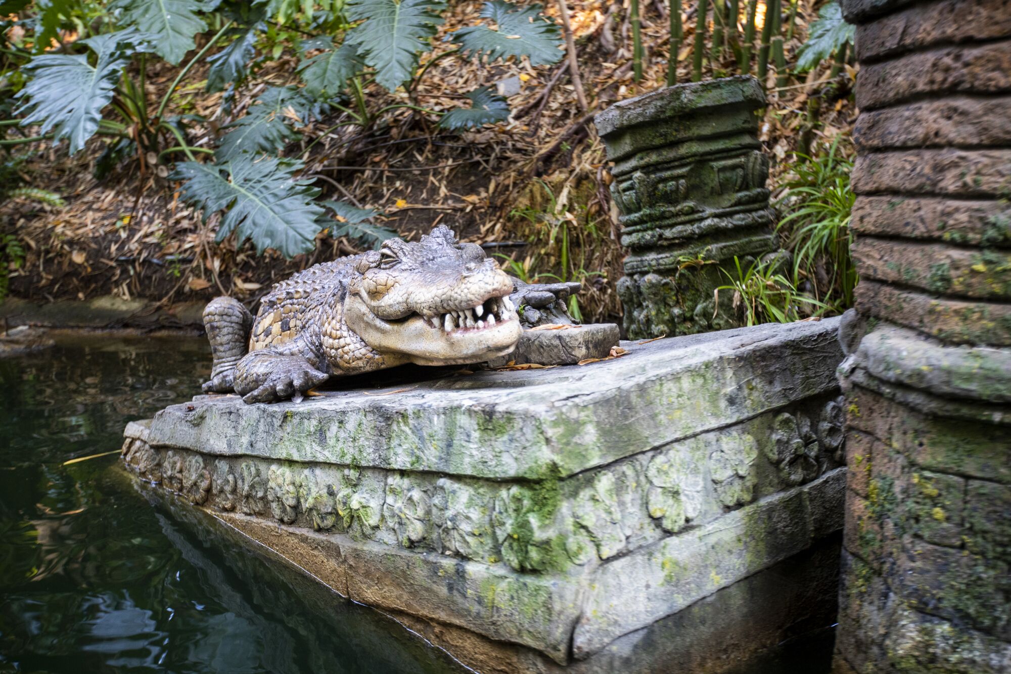 A crocodile amid ruins as viewed from the Jungle Cruise