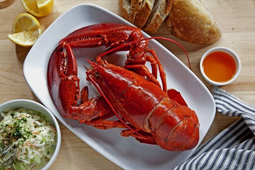 The temptation of a lobster dinner tests the author's resolve to go vegan for the month of January.