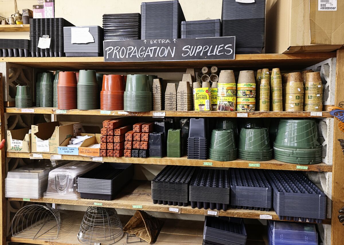 Propagation supplies on display at City Farmers Nursery.