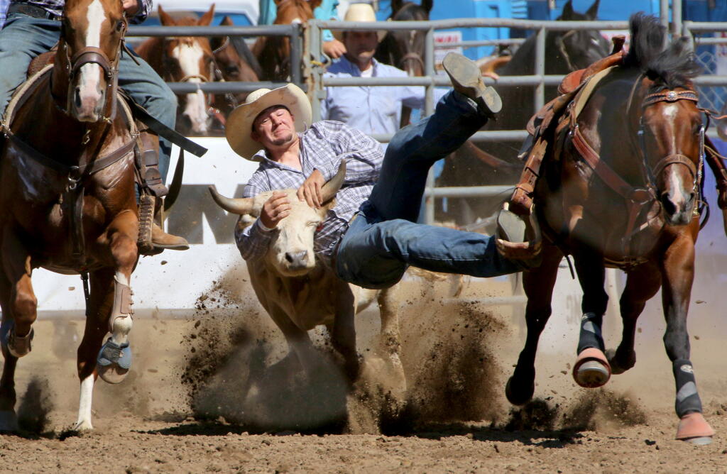 Animal Injuries From Rodeo California rodeo animals face violent and deadly casualties - Los ...